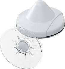 Cross Point Ostra & Shell D40